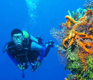 Nassau Scuba Dive