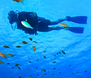 Nassau Scuba Diving Trips