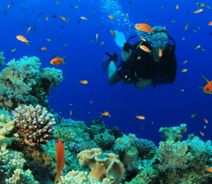 Nassau Scuba Diving Certification