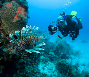 Nassau Scuba Diving FAQ's